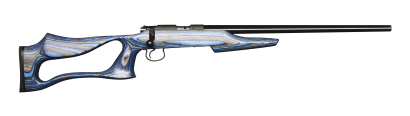 Малокалиберная винтовка (охотничий карабин) CZ 455 Evolution, Ceska Zbrojovka Чехия
